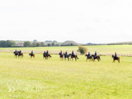 HC240925-44 - Harry Charlton Stable Visit
